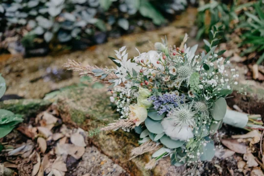 Was kostet ein Hochzeitsfotograf in Pirna
